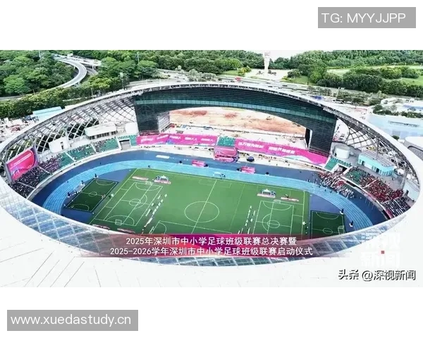 深圳足球队在城市联赛中的个人能力表现分析与点评